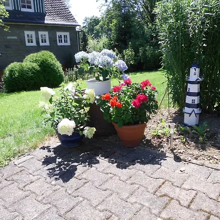 Apartment In Langewiese Near